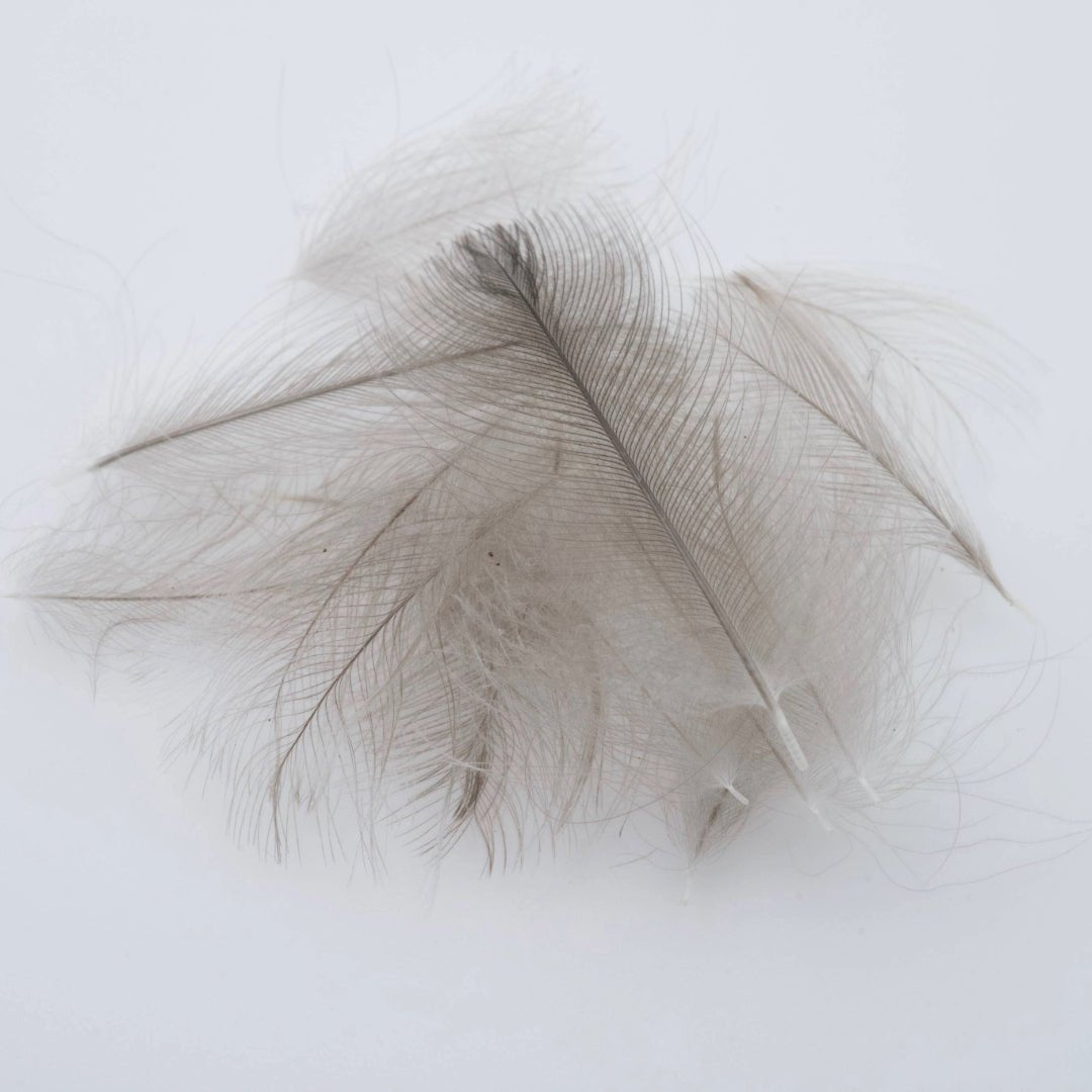 thumbnail image 2 of 1 Gram Duck Cul De Canard (CDC) Feathers - Light Blue / Light Blue For Fly Tying 2 of 4