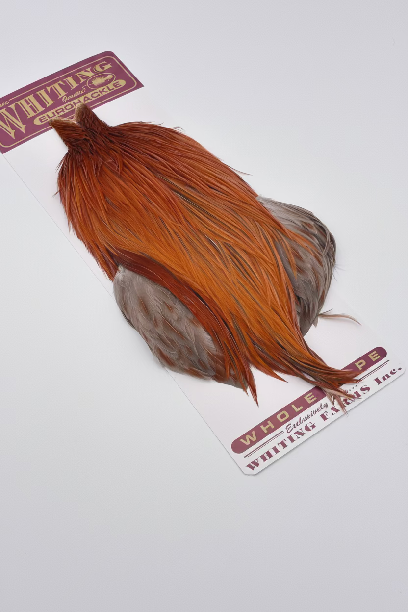 Whiting Eurohackle Cape – Fly Fish Food